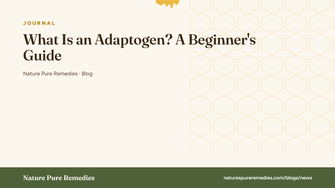 What Is an Adaptogen? A Beginner's Guide