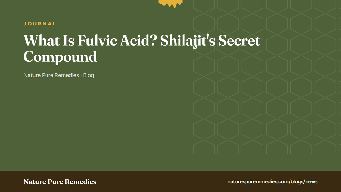 What Is Fulvic Acid? Shilajit's Secret Compound