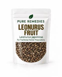 Leonurus Fruit dried herb, Nature Pure Remedies
